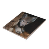 Eastern Timber Wolf Tegeltje (Zijkant)