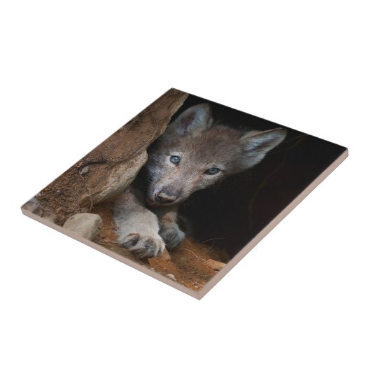 Eastern Timber Wolf Tegeltje (Zijkant)