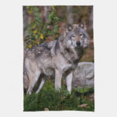 Eastern Timber Wolf Theedoek (Verticaal)