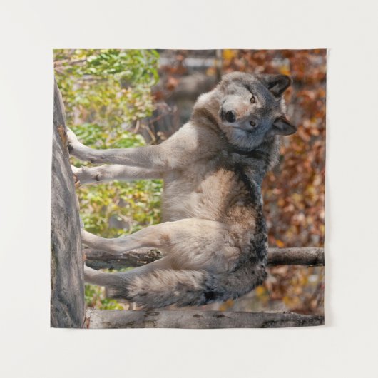 Eastern Timber Wolf Wandkleed (Voorkant (horizontaal))