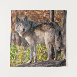 Eastern Timber Wolf Wandkleed