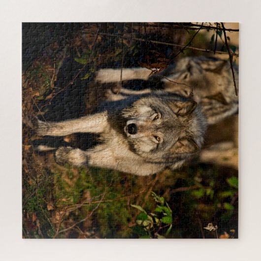 Eastern Timber Wolves Jigzaag Puzzle Legpuzzel (Horizontaal)