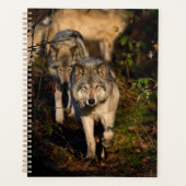 Eastern Timber Wolves Planner (Voorkant)