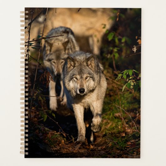 Eastern Timber Wolves Planner (Voorkant)