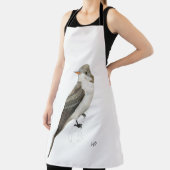 Eastern Wood Peewee Schort (Insitu)