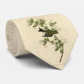 Eastern Wood Pewee van de Amerikaanse vogels van A Stropdas (Opgerold)