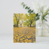 Eastmoreland in het najaar van het uitzicht van de briefkaart (Staand voorkant)