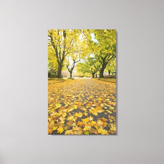 Eastmoreland in het najaar van het uitzicht van de canvas afdruk (Voorkant)