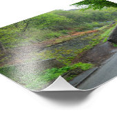 Eastwood Railway Station Remains Foto Afdruk (Hoek)