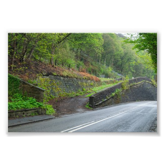 Eastwood Railway Station Remains Foto Afdruk (Voorkant)