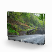 Eastwood Railway Station Remains Fotoblokken (Rechts)