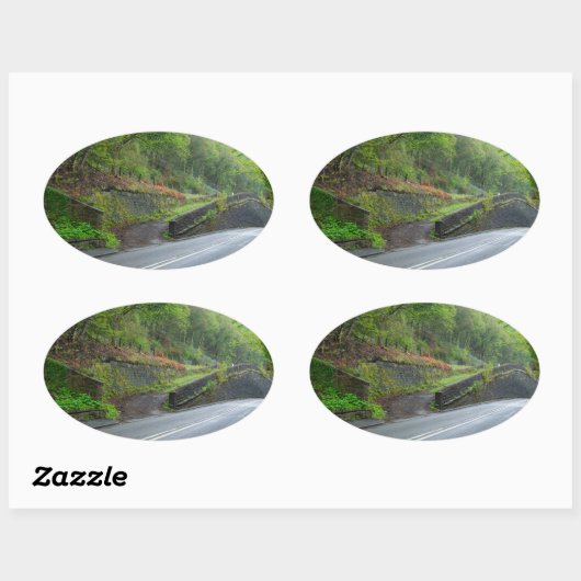 Eastwood Railway Station Remains Ovale Sticker (Vel)