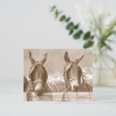 Easy Restin Briefkaart (Staand voorkant)