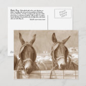 Easy Restin Briefkaart (Voorkant / Achterkant)