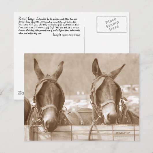 Easy Restin Briefkaart (Voorkant / Achterkant)