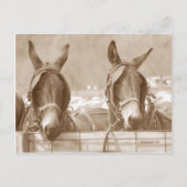 Easy Restin Briefkaart (Voorkant)