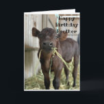 EAT CAKE HAY "BROTHER" BIRTHDAAGKAART NIET KAART<br><div class="desc">LAAT ****UW BROEDER*** WEET DAT JE ZO KLAAR BENT OM TE CELEBRATEN OP HAAR SPECIALE DAG! EN WAAROM NIET. BEDANKT VOOR BEWARING DOOR EEN VAN MIJN ACHT STORES :)</div>