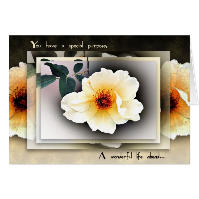 Eat Dessert (Voorkant Horizontaal)