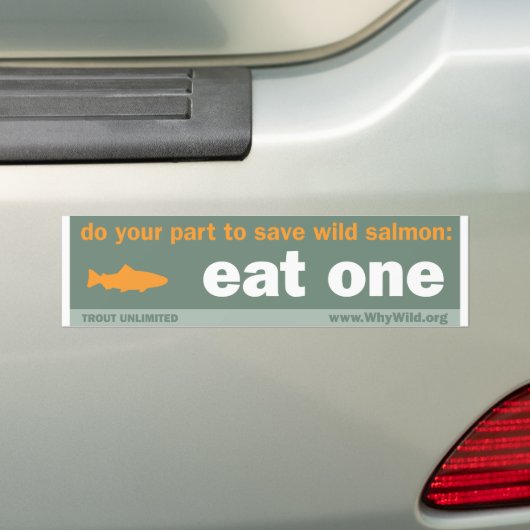 Eat One Bumpersticker (Op auto)