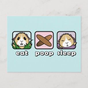 Eat Poop Sleep Guinea Pig Briefkaart
