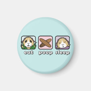 Eat Poop Sleep Guinee Pig Fridge Magnet