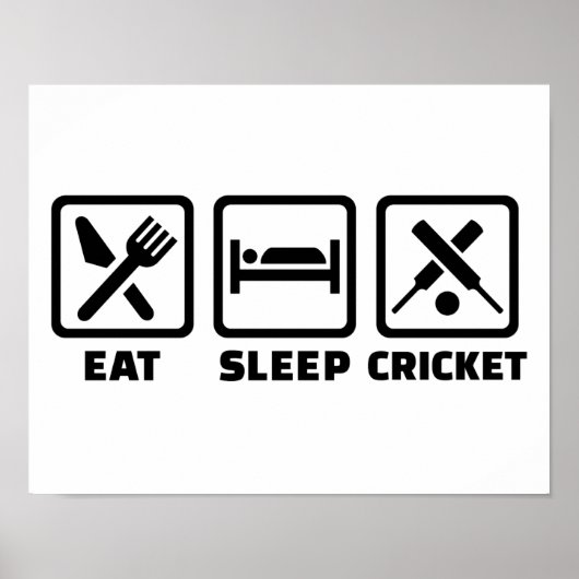Eat slaap cricket poster (Voorkant)
