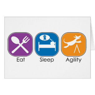 Eat Sleep Agility