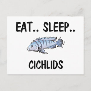 Eat Sleep CICHLIDS Briefkaart