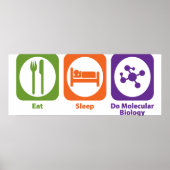 Eat Sleep Do Molecular Biology Poster (Voorkant)