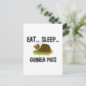 Eat Sleep GUINEA PIGS Briefkaart (Staand voorkant)