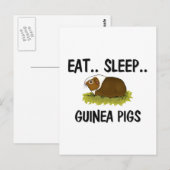 Eat Sleep GUINEA PIGS Briefkaart (Voorkant / Achterkant)