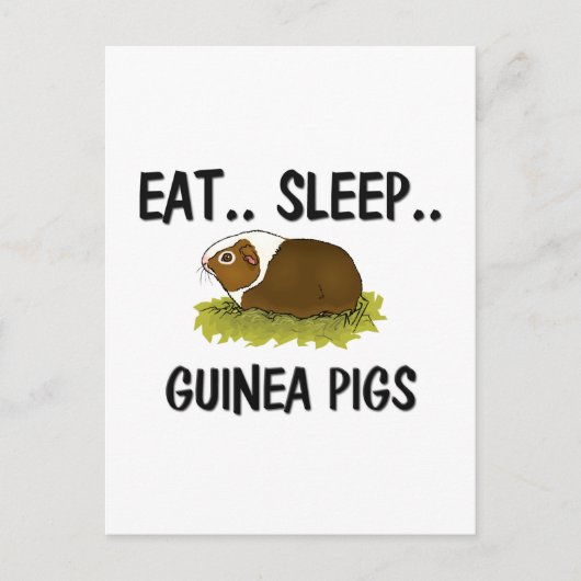 Eat Sleep GUINEA PIGS Briefkaart (Voorkant)