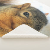 Eat Throw Blanket (3/4)