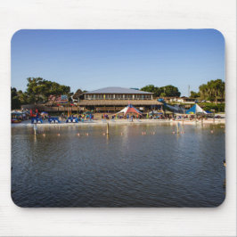 Eaton's strand muismat