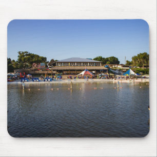 Eaton's strand muismat