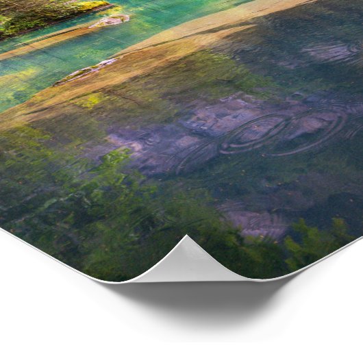 Eaux Claires Poster (Hoek)