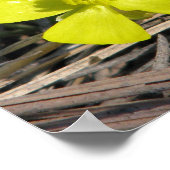 eb914d3d831da7681f0eff33fe3afaf5_200 poster (Hoek)