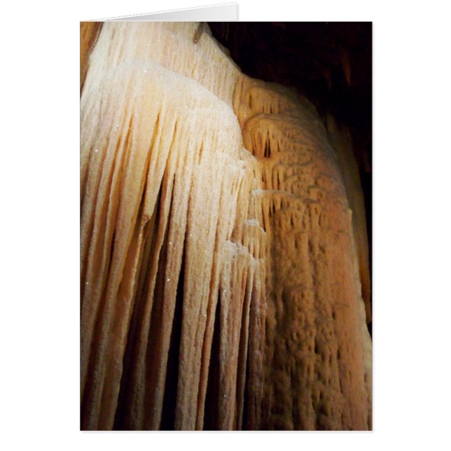 Ebb-brede kaart (Voorkant)