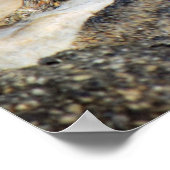 ebb en debiet poster (Hoek)