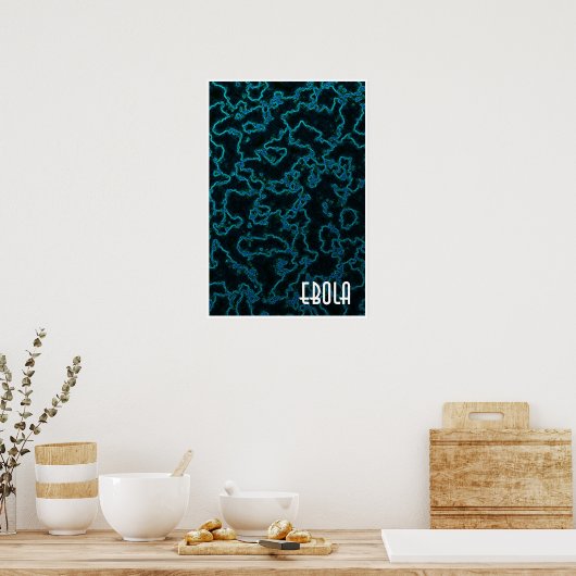 Ebola Poster (Keuken)
