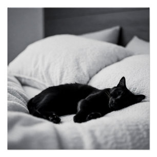 Ebony Dreams: Katachtig comfort en charme Perfect Poster