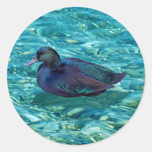 Ebony Duck - Envelop Stickers (Voorkant)