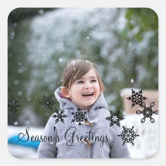 Ebony Elegant Snowflakes Holiday Foto Stickers (Voorkant)