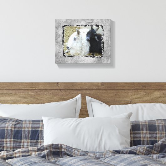 Ebony en Ivory Goat Buddies Canvas Afdruk (Insitu (Slaapkamer))
