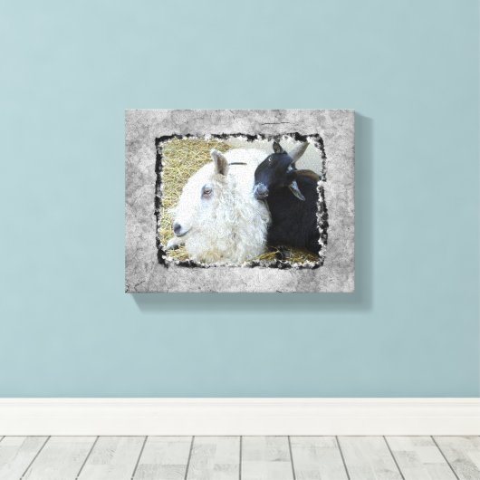 Ebony en Ivory Goat Buddies Canvas Afdruk (Insitu (Houten vloer))