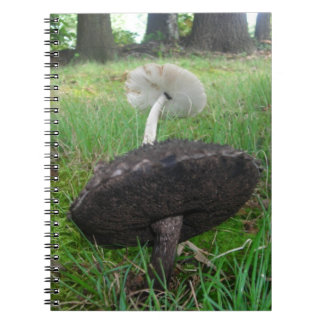 Ebony en Ivory Paddenstoelen Notitieboek
