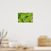 Ebony Jewelwing Poster (Keuken)