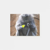 Ebony Langur Post-it® Notes (Voorkant)