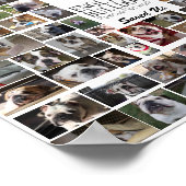 EBRN Rescue Poster (Hoek)