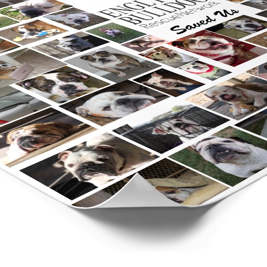 EBRN Rescue Poster (Hoek)